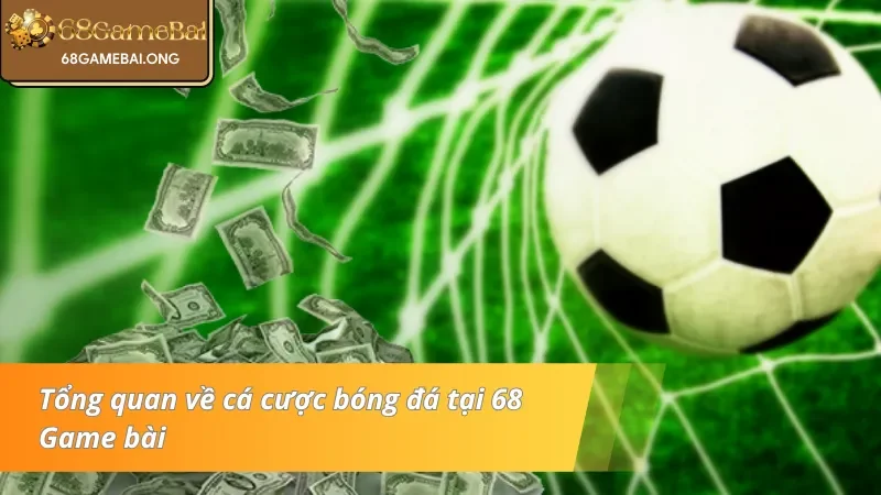Sơ lược về cược bóng đá 
