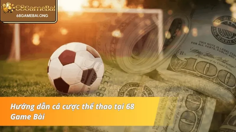 Quy trình tham gia cược thể thao cho tân binh